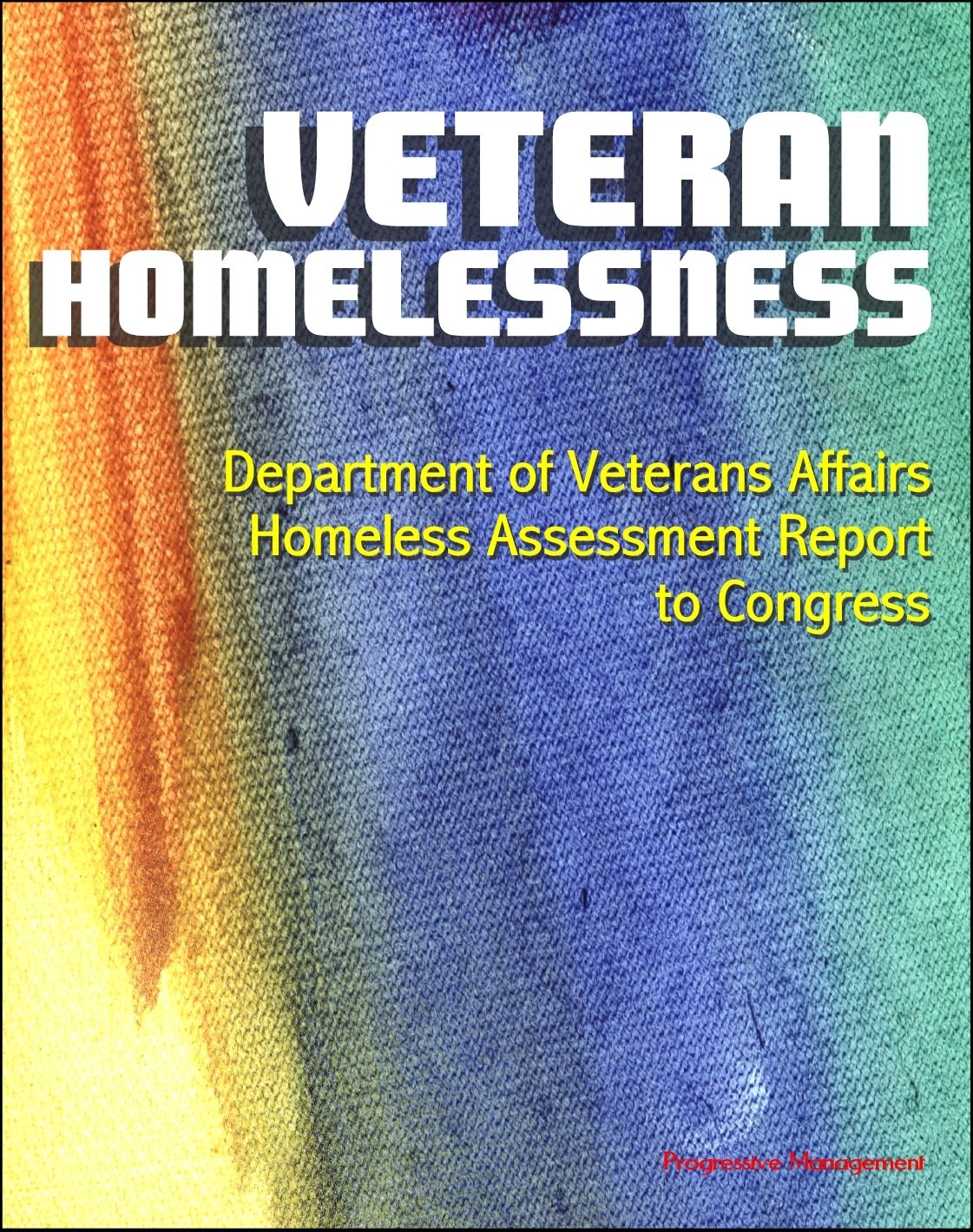 Veteran Homelessness: Department of Veterans Affairs Homeless Assessment Report to Congress