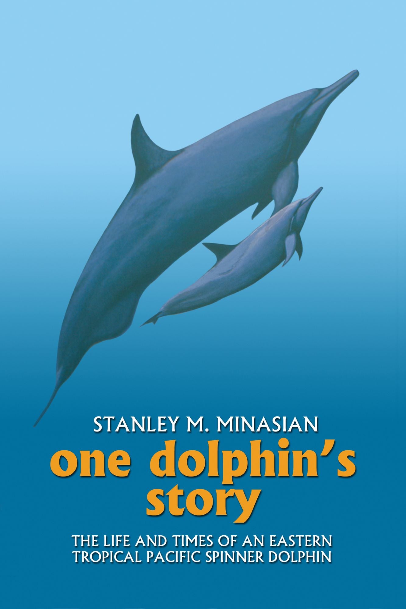 One Dolphin's Story