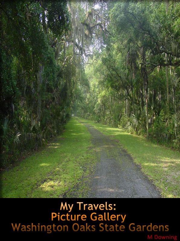 My Travels: Picture Gallery Washington Oaks State Gardens