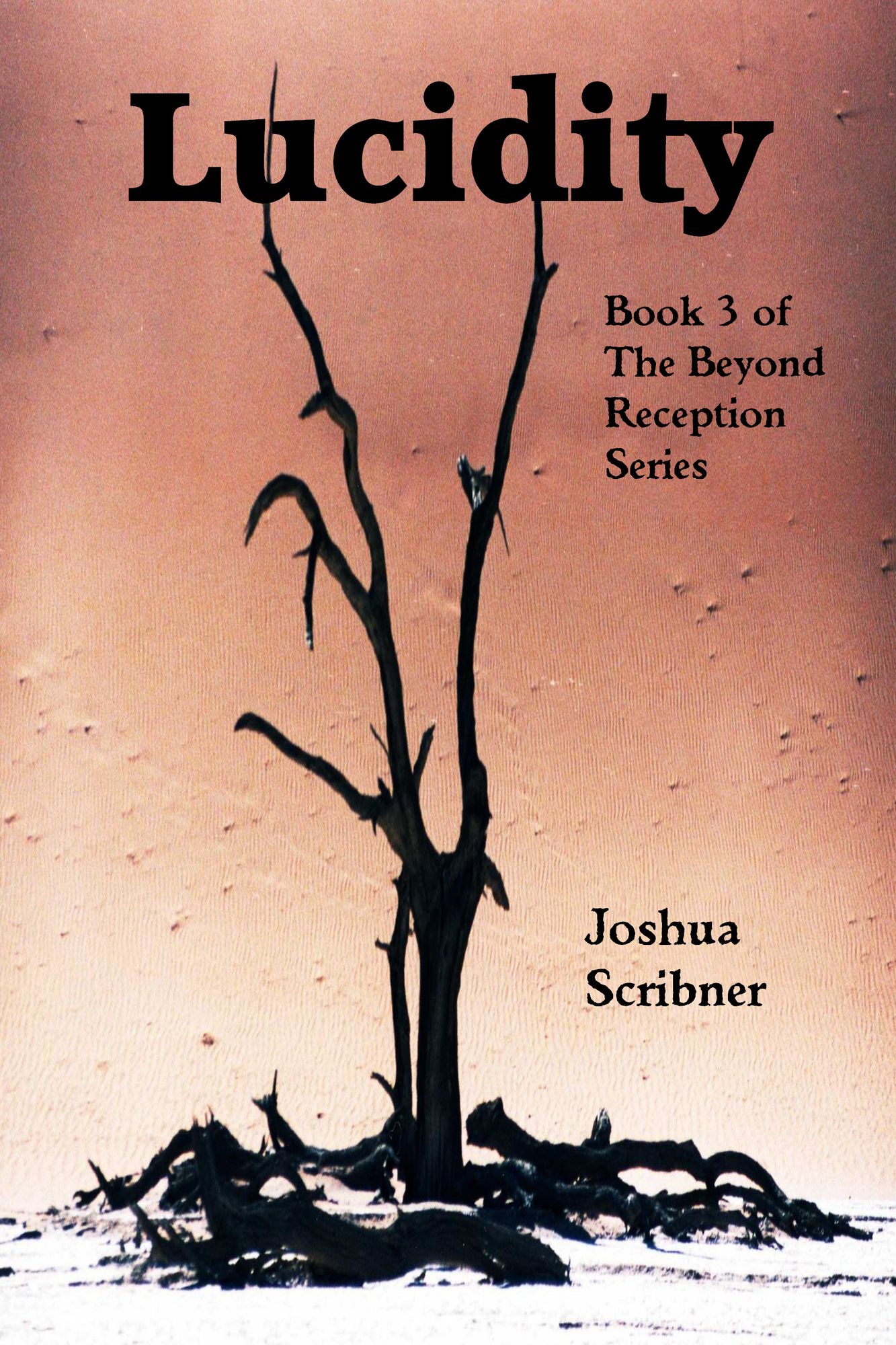Lucidity: Book 3 of the Beyond Reception Series