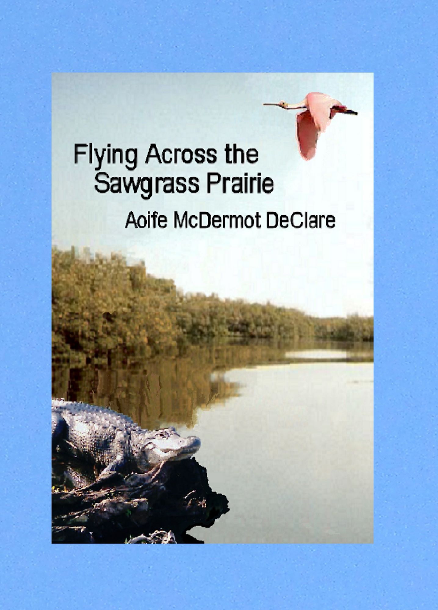 Flying Across the Sawgrass Prairie