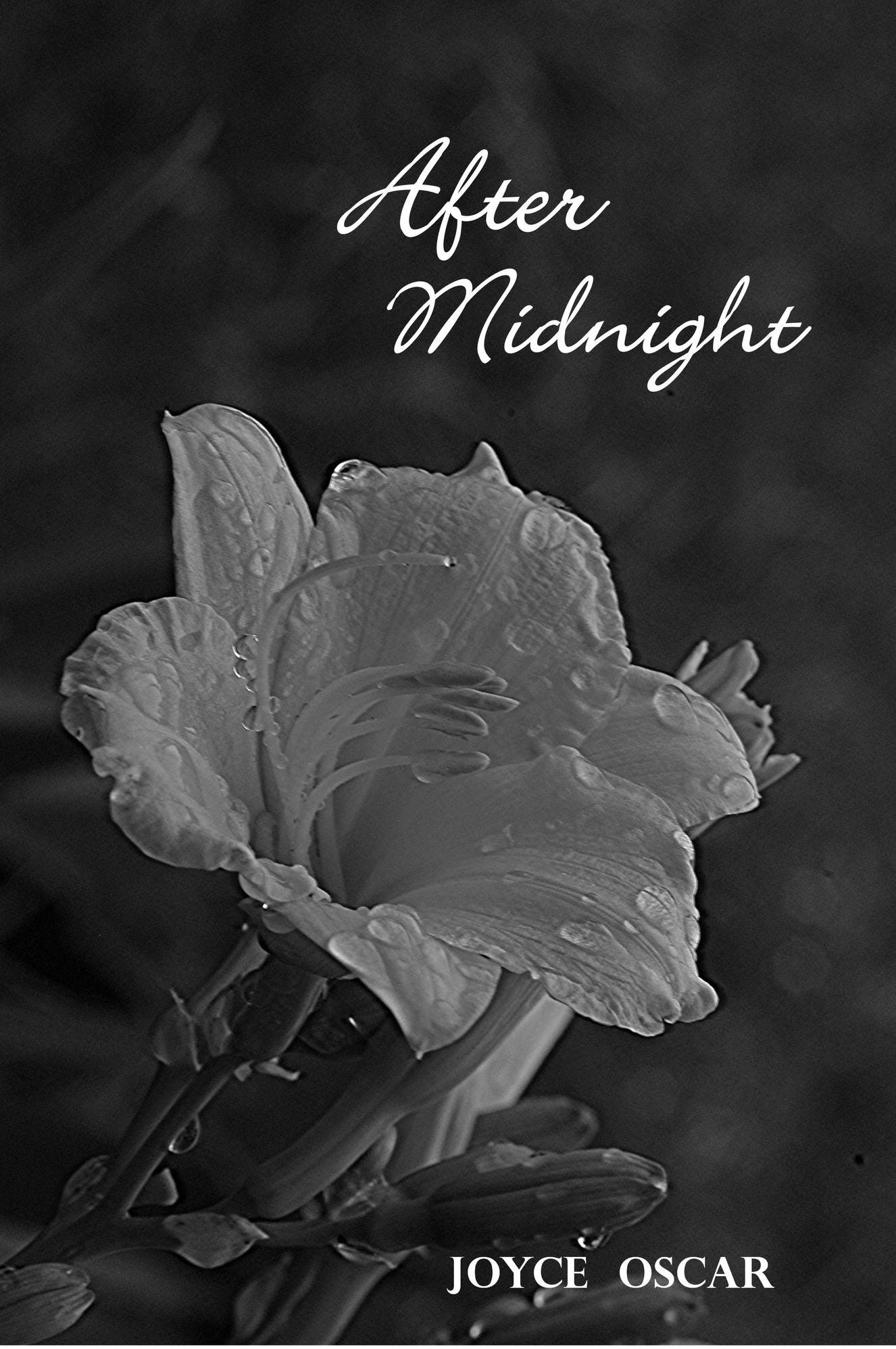 After Midnight: Love's Journey