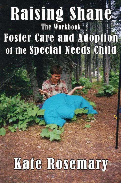 Raising Shane: Foster Care and Adoption of the Special Needs Child