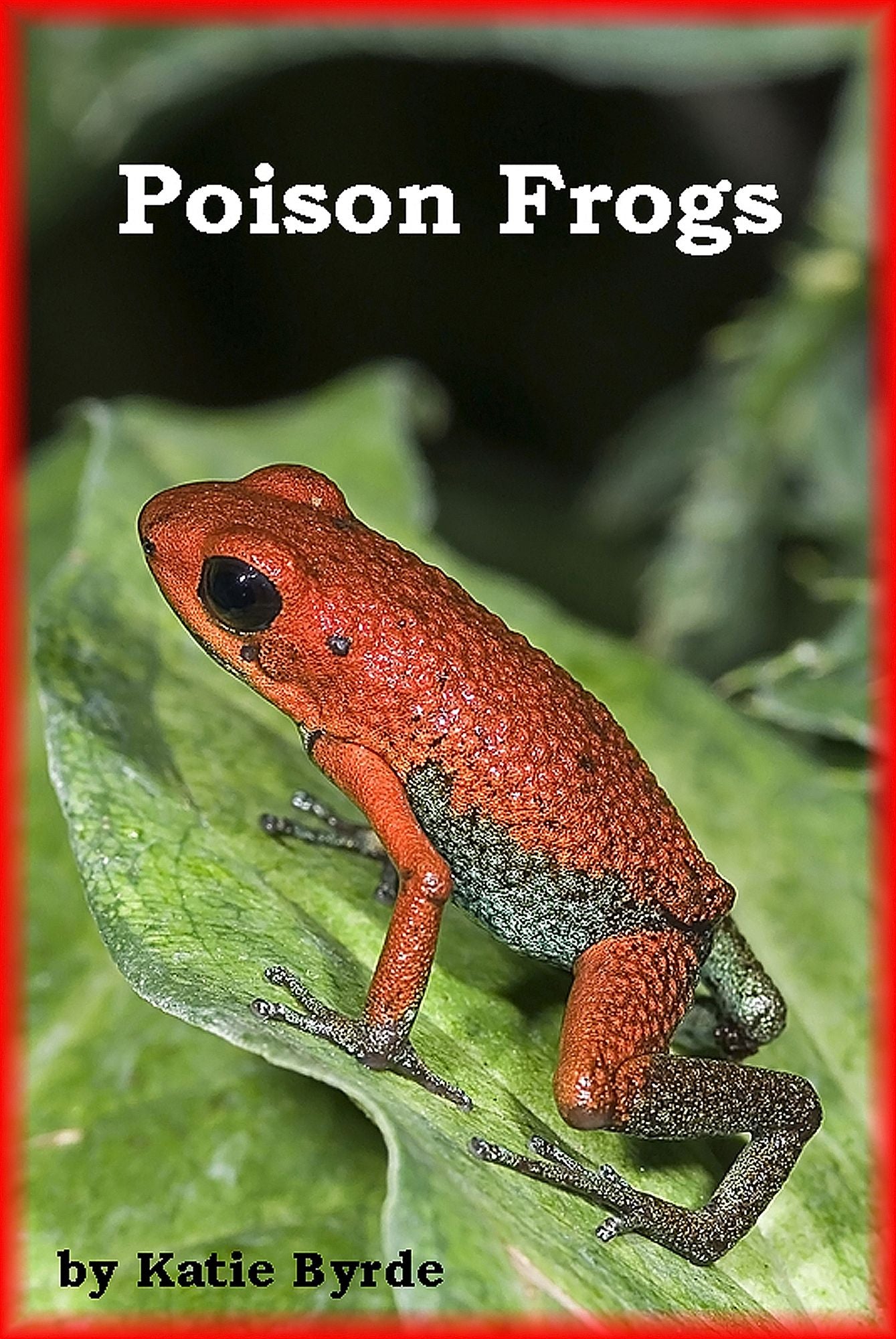 Poison Frogs