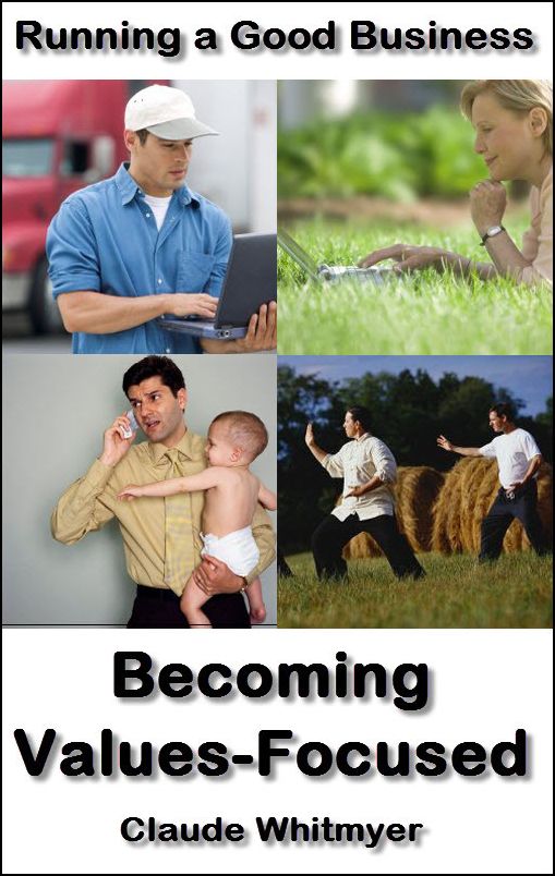Running a Good Business, Book 3: Becoming Values-Focused
