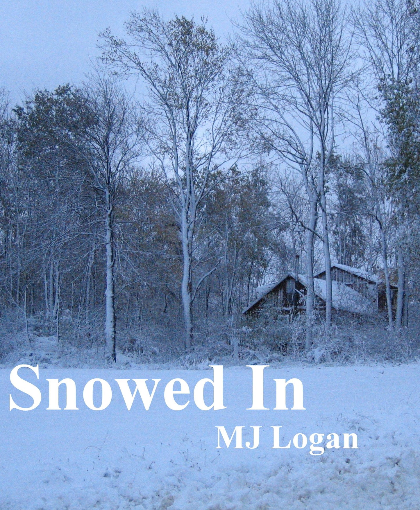 Snowed In