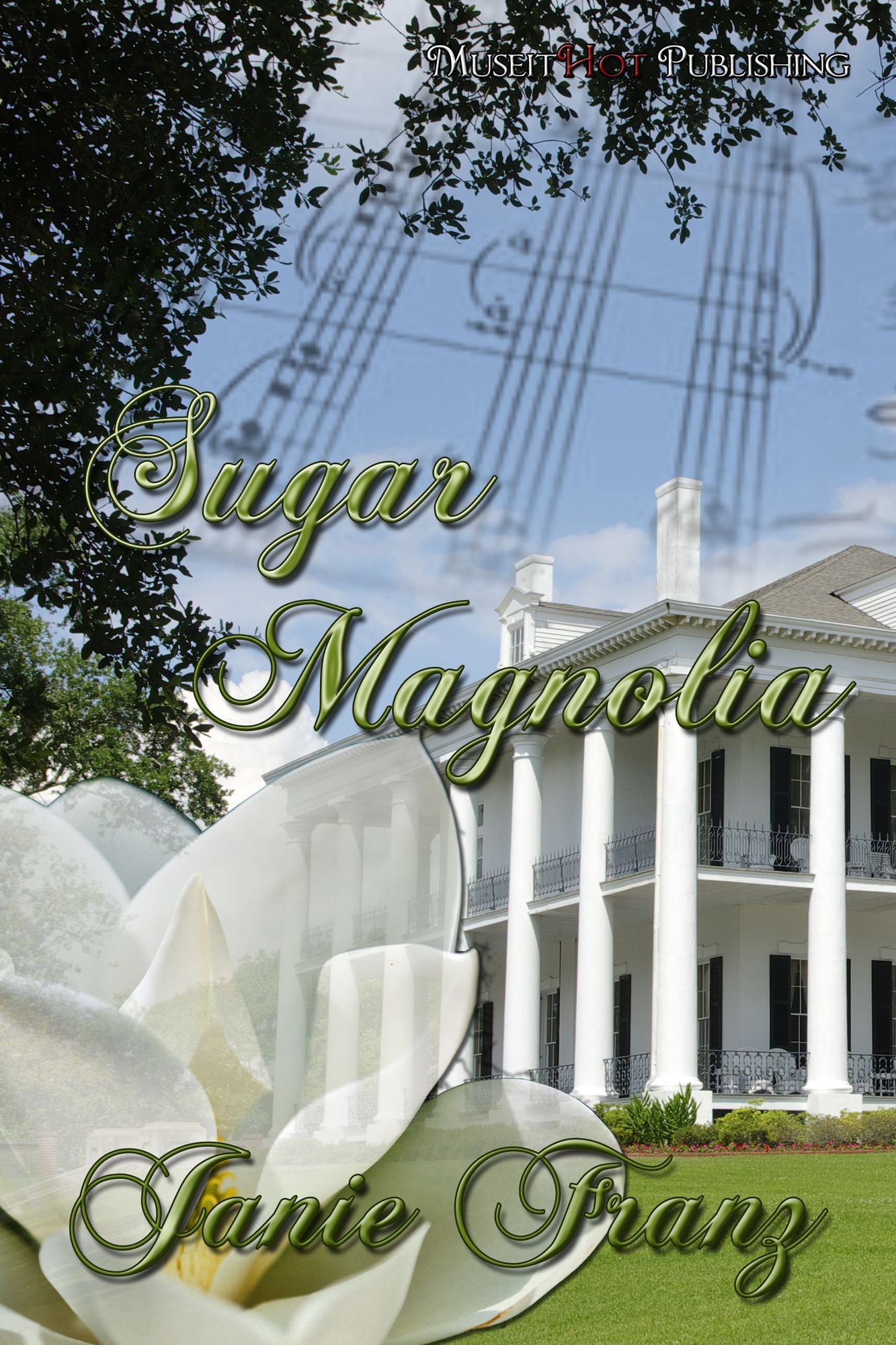 Sugar Magnolia