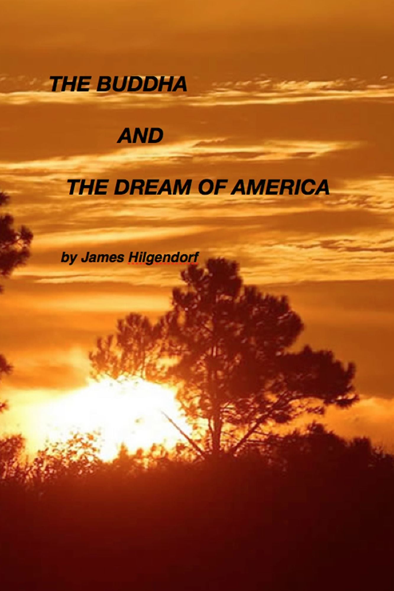 The Buddha and the Dream of America