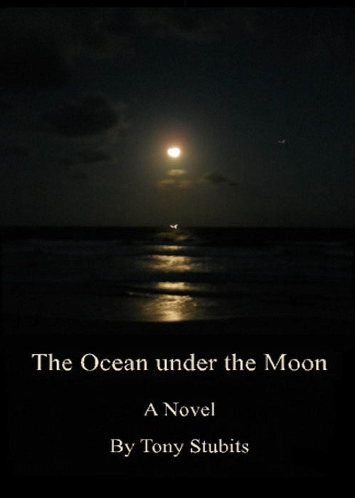 The Ocean under the Moon