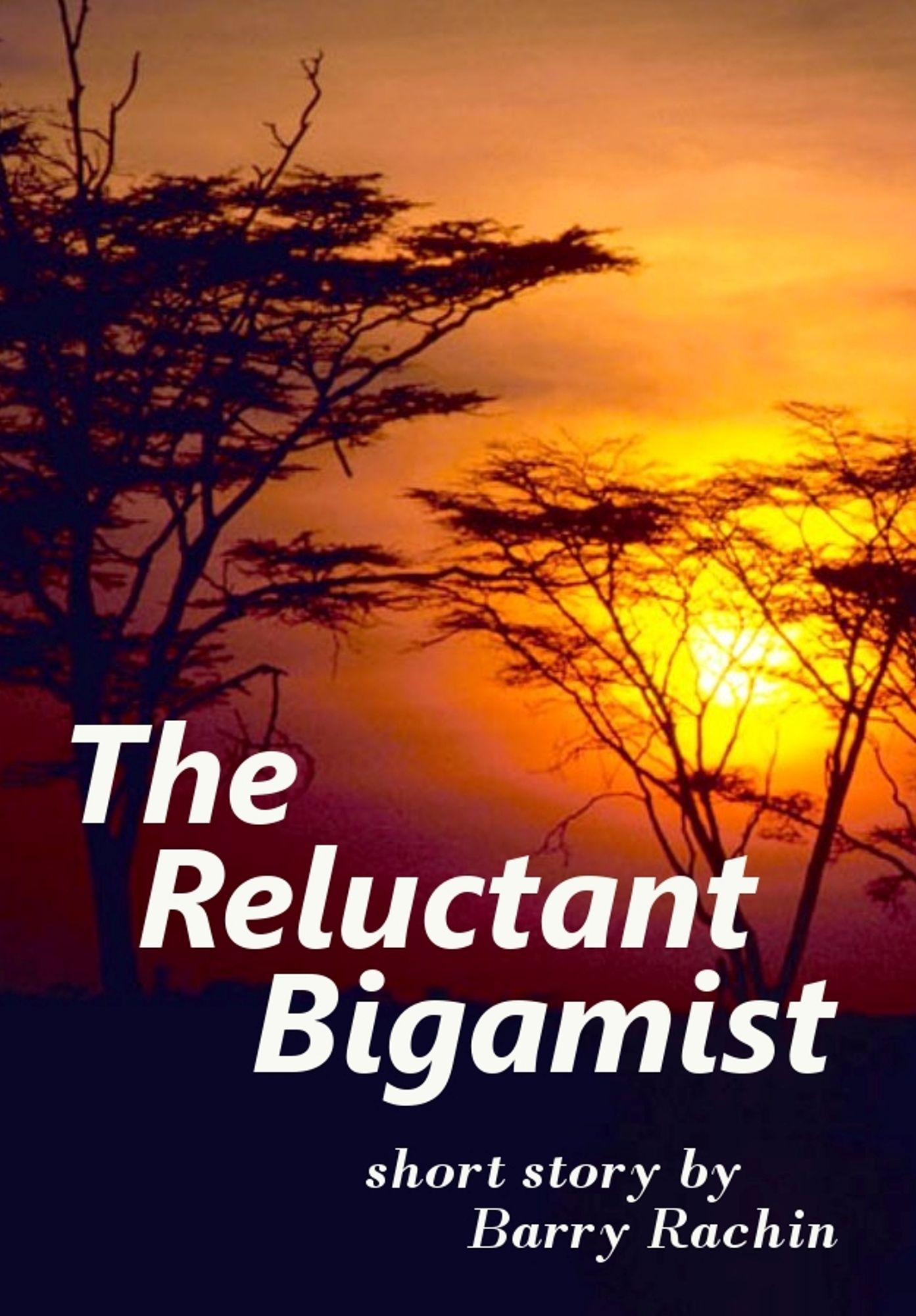 The Reluctant Bigamist