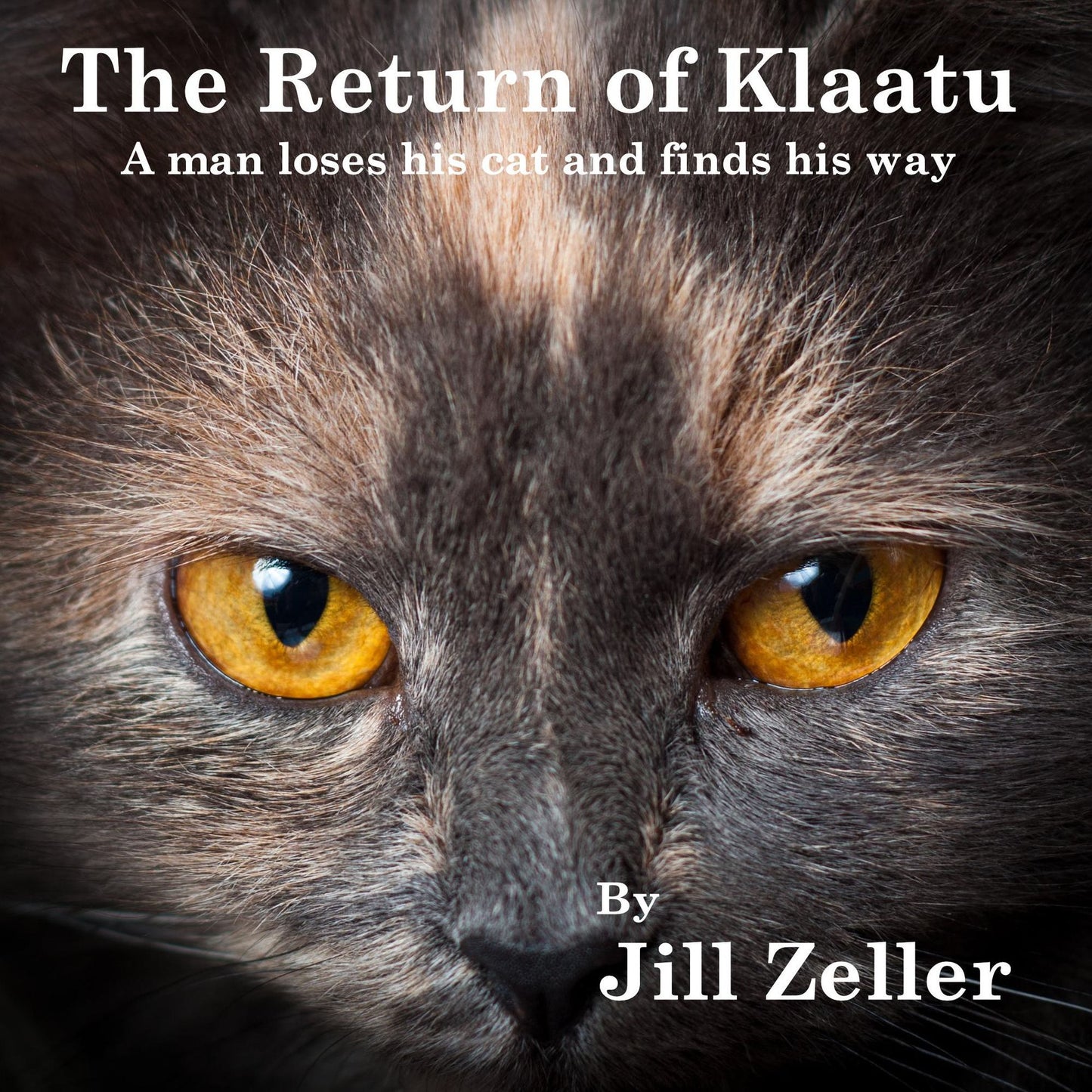 The Return of Klaatu