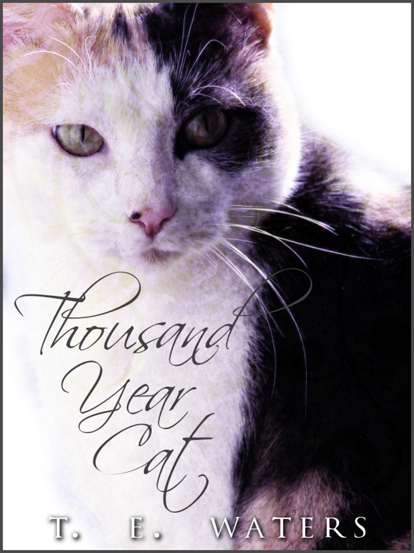 Thousand-Year Cat