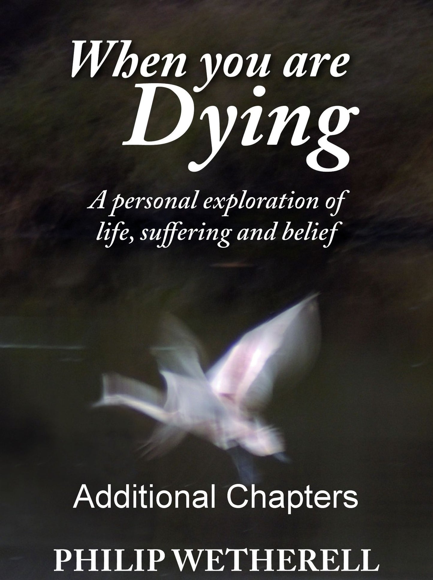 WHEN YOU ARE DYING: A Personal Exploration of Life, Suffering and Belief, ADDITIONAL CHAPTERS