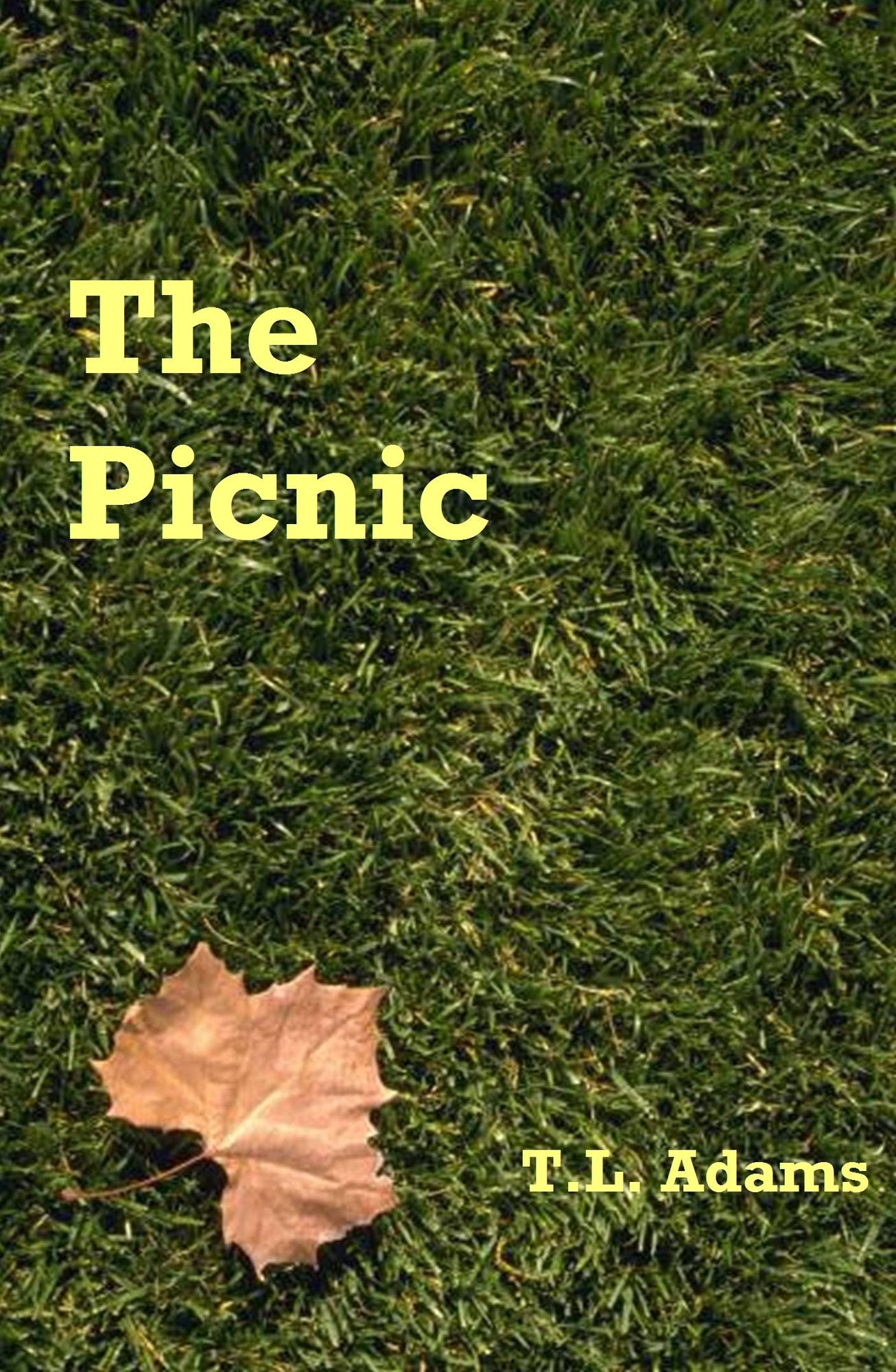 The Picnic