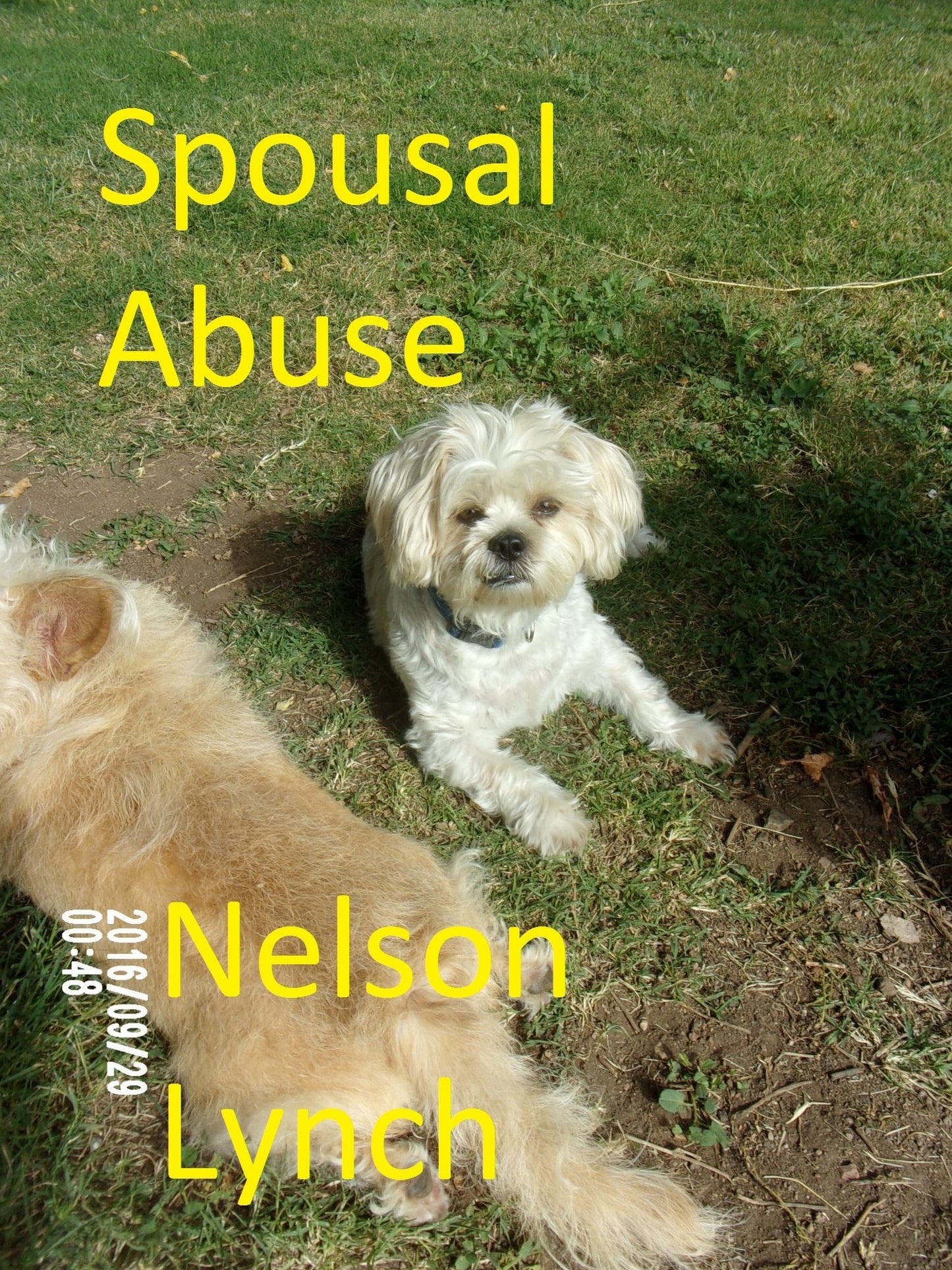 Spousal Abuse