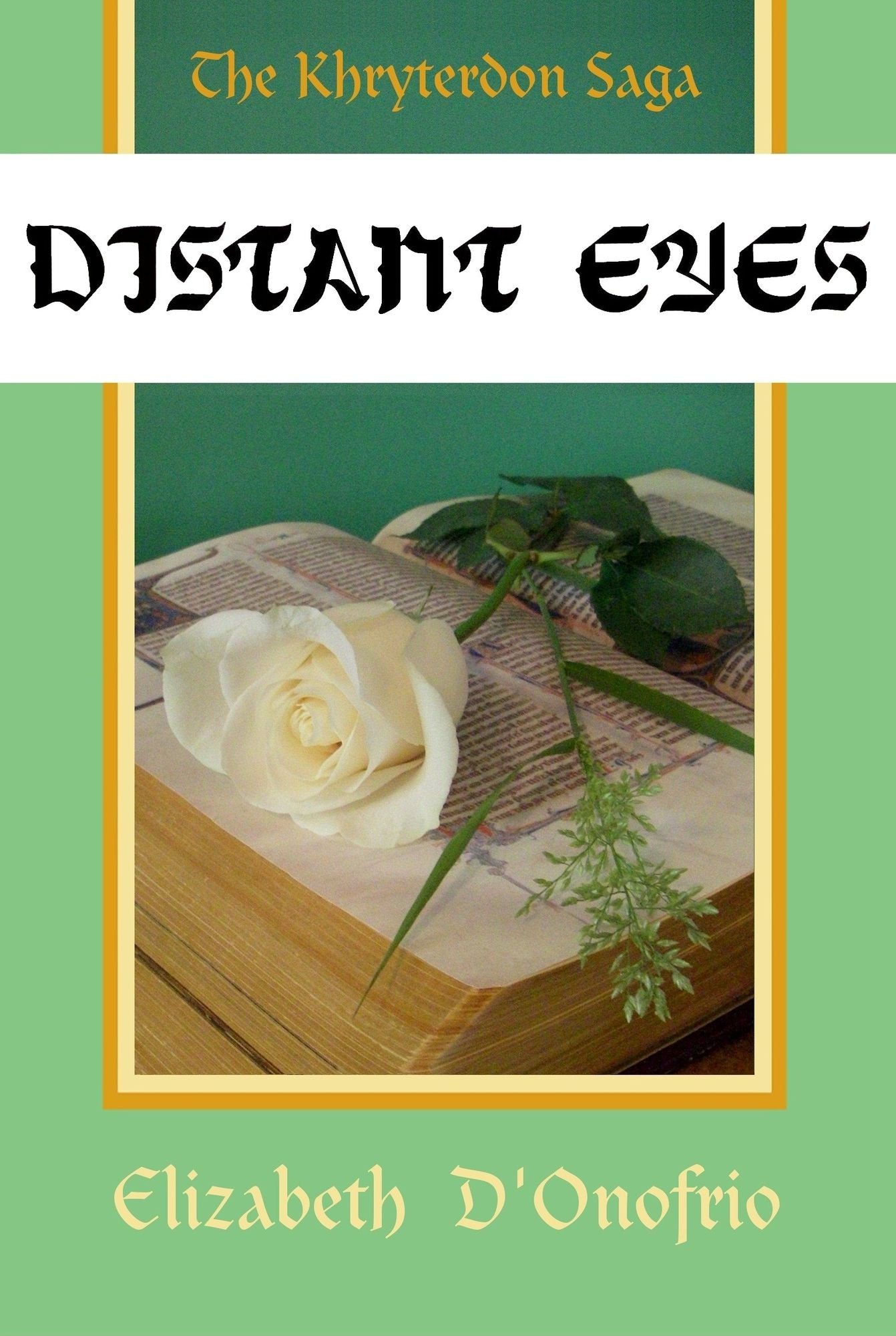 Distant Eyes