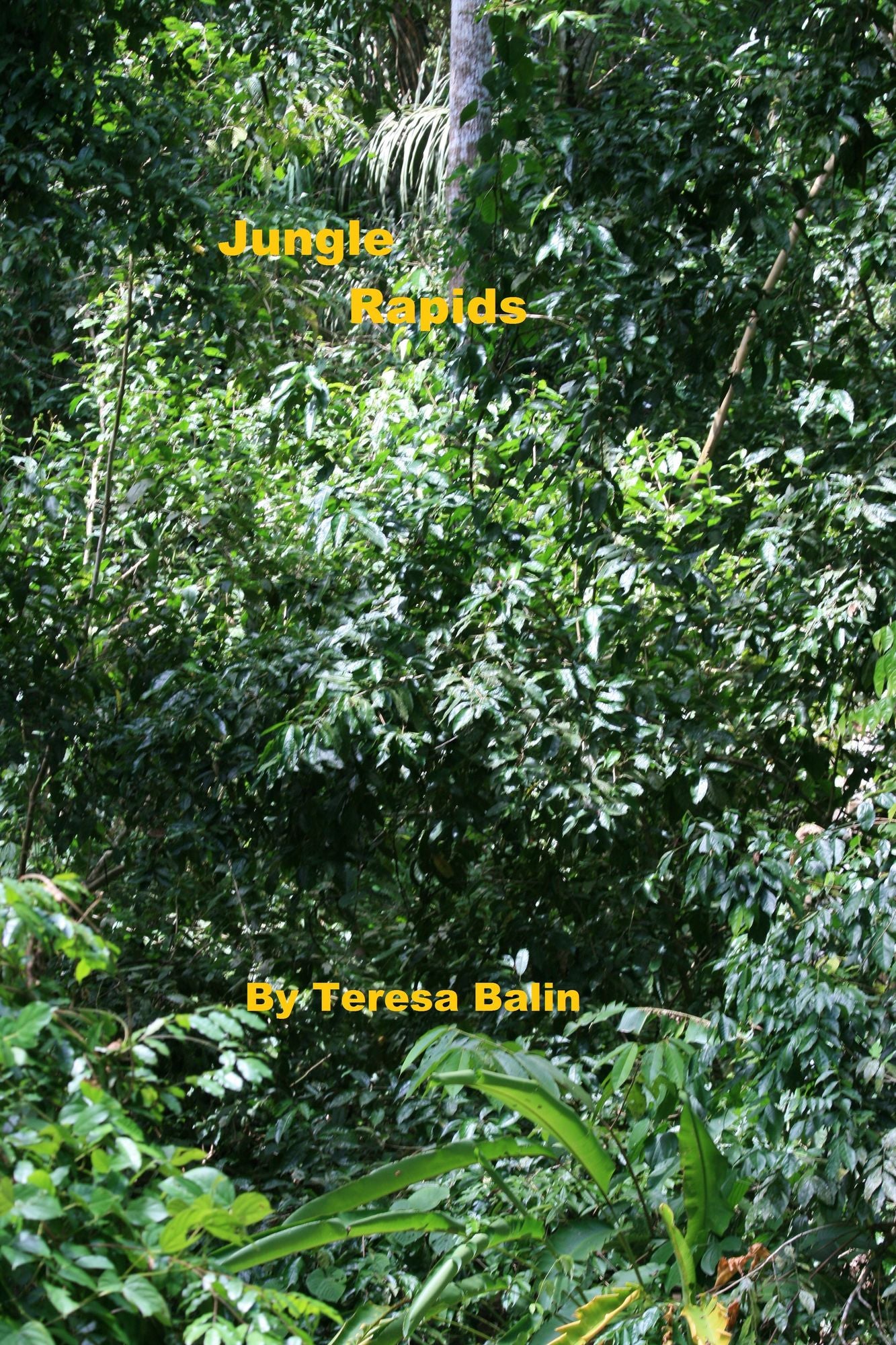 Jungle Rapids