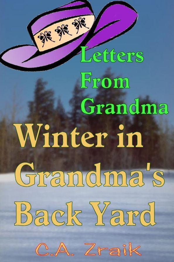 Winter In Grandma's Back Yard