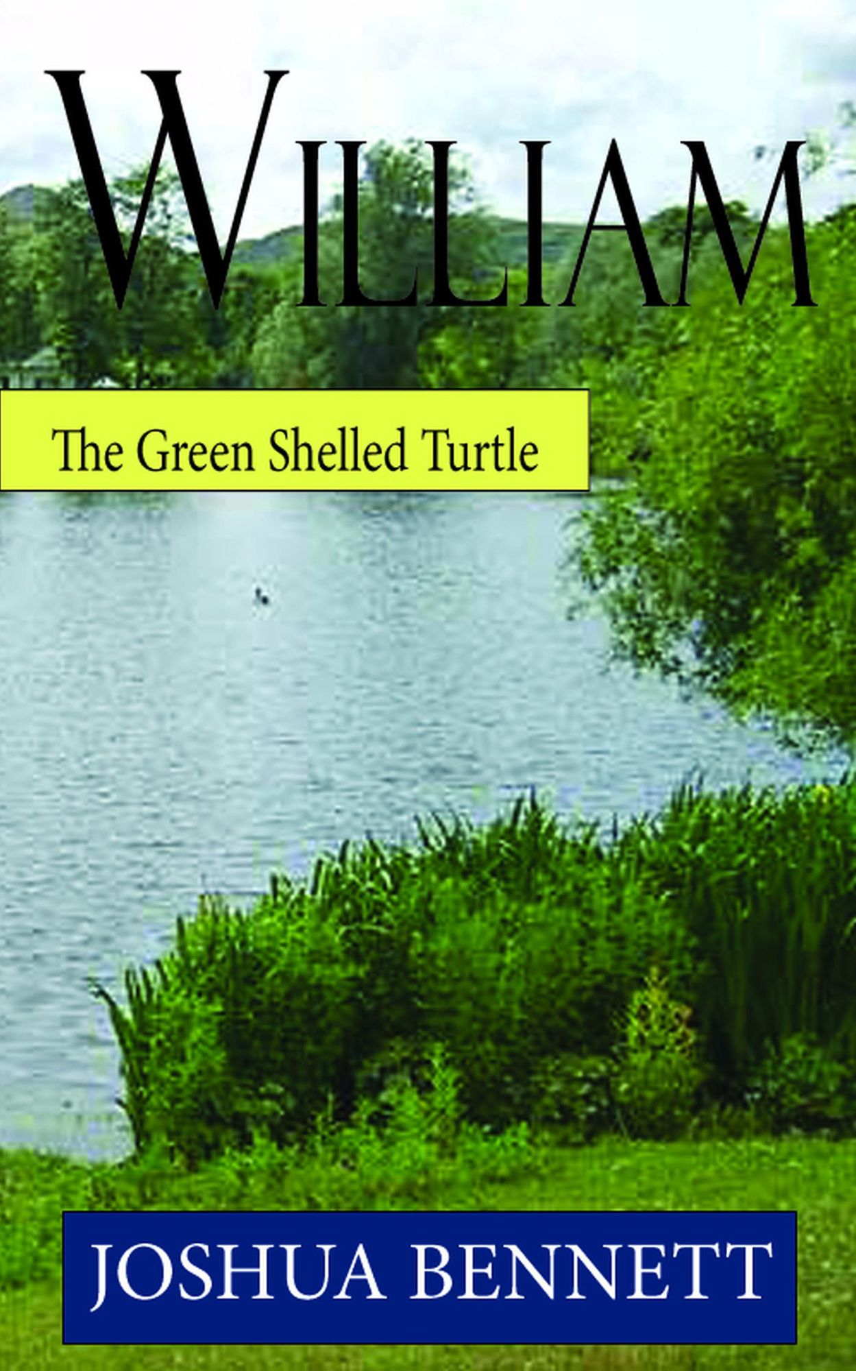 William the Green Shelled Turtle