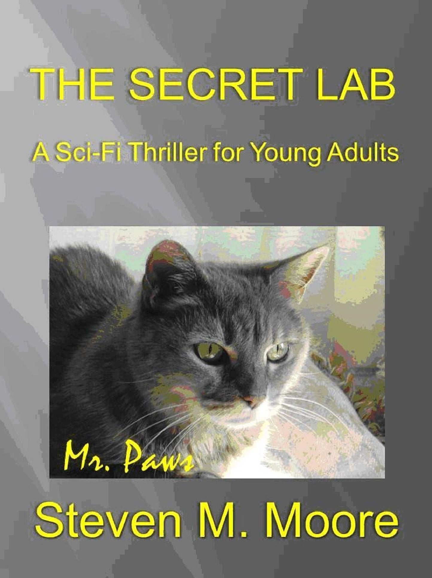 The Secret Lab