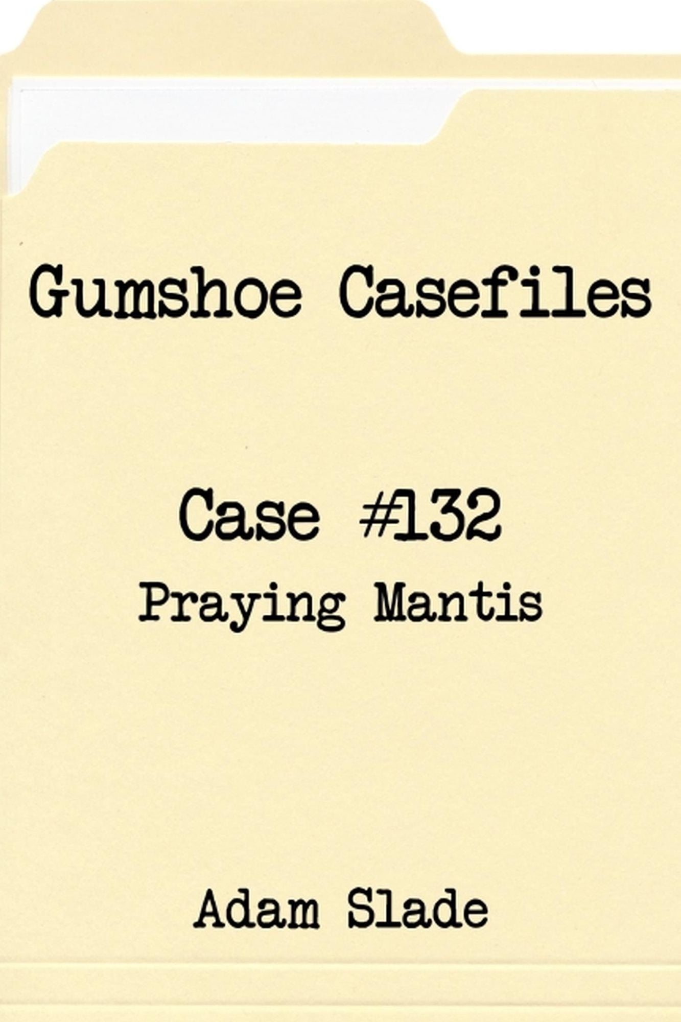 Gumshoe Casefiles: Case 132