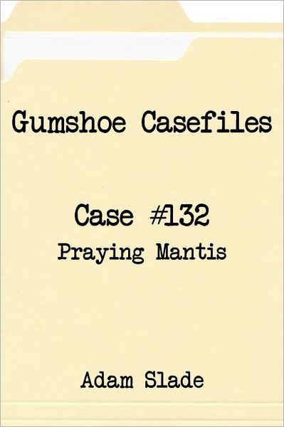 Gumshoe Casefiles: Case 132