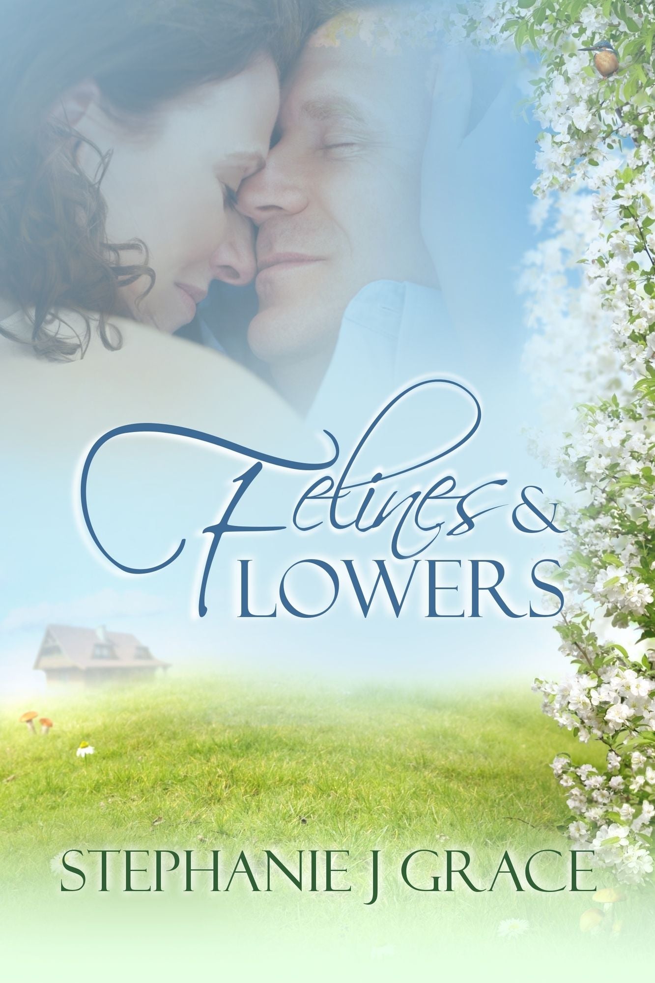 Felines and Flowers