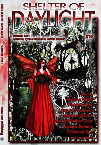 Shelter of Daylight 6