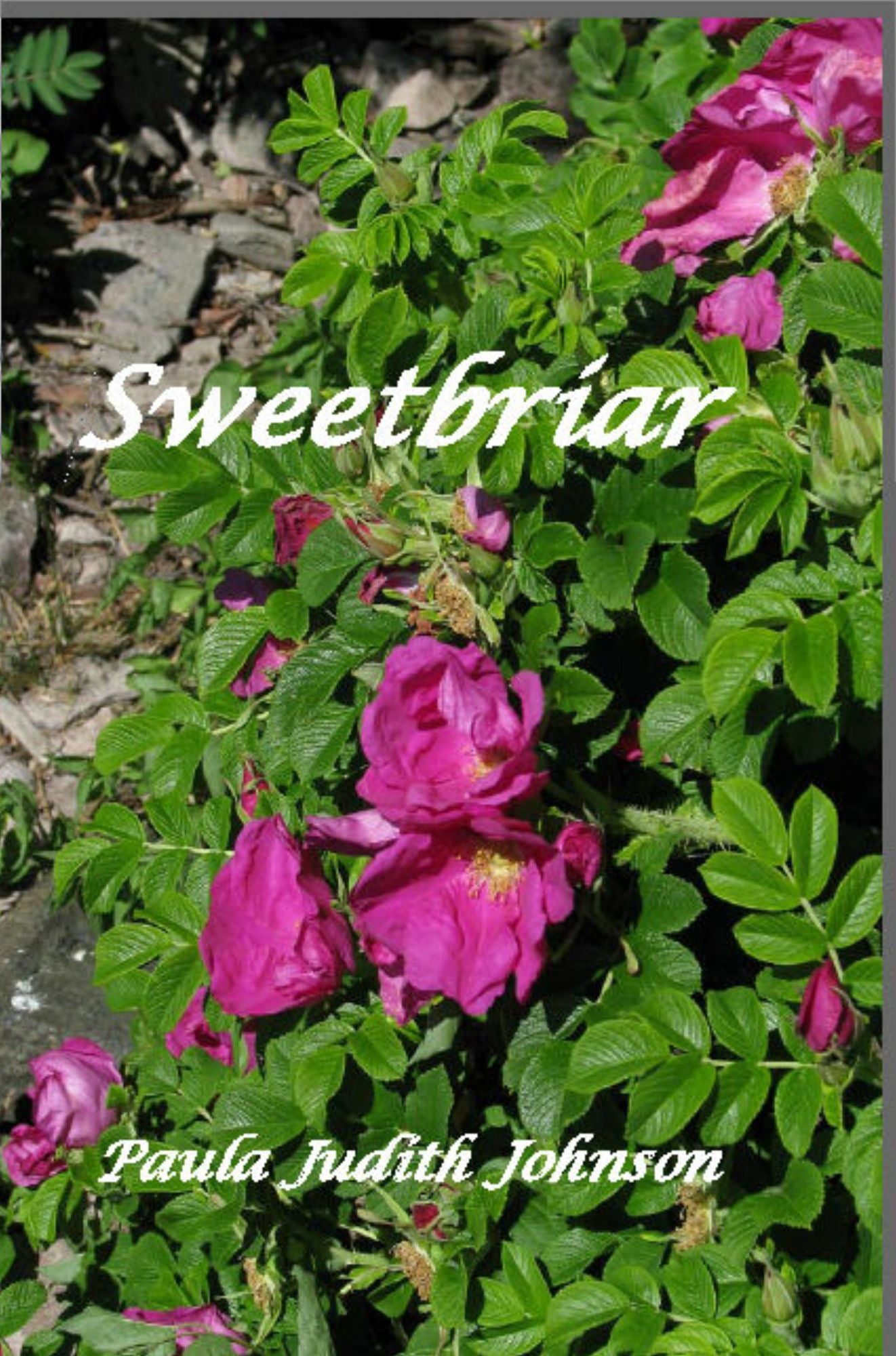 Sweetbriar