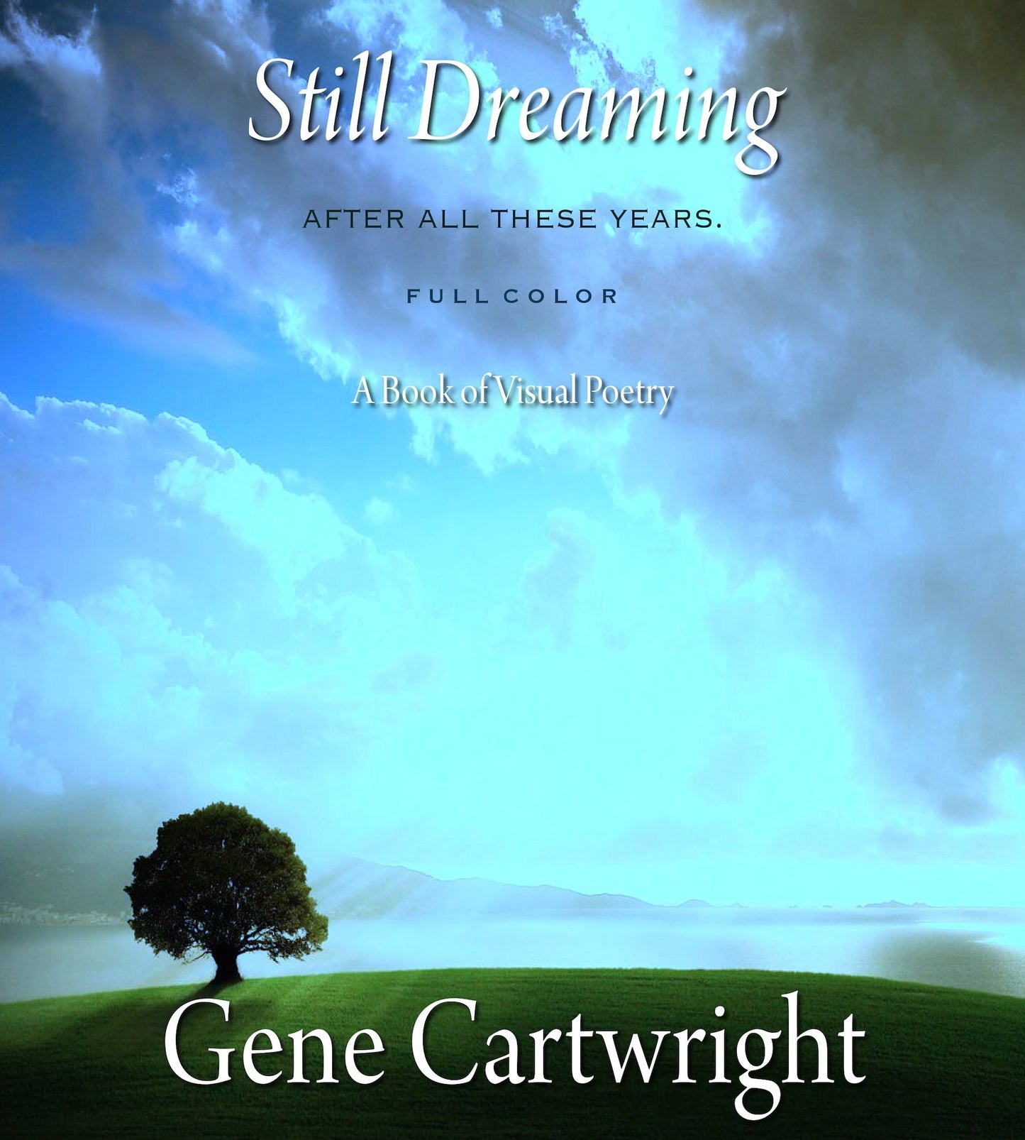 Still Dreaming