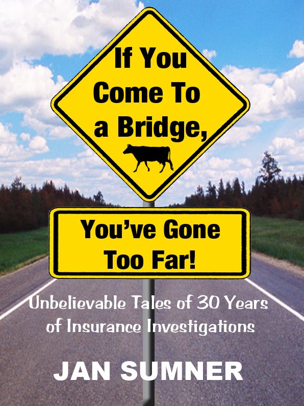 If You Come To A Bridge, You've Gone Too Far!