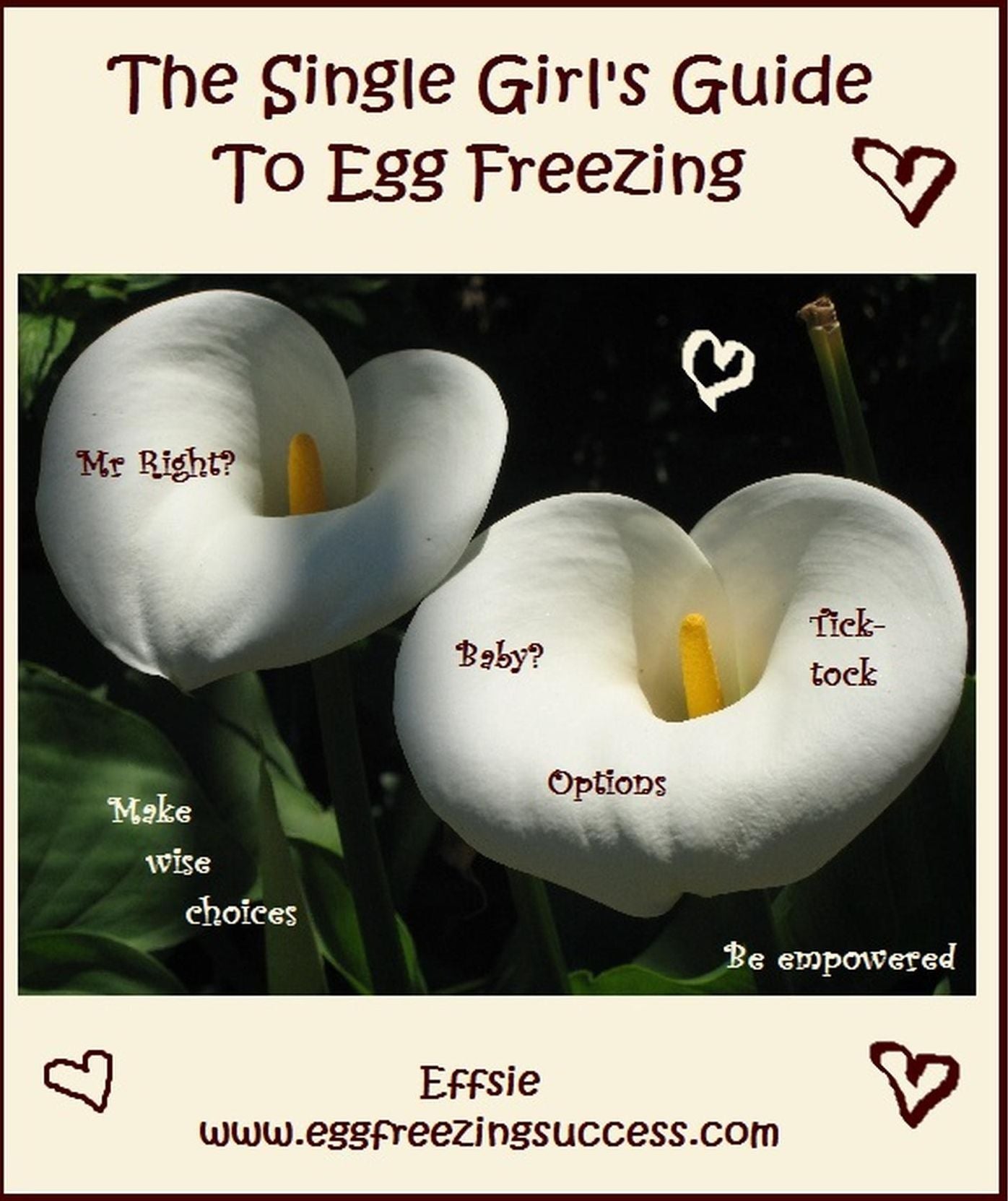 The Single Girl's Guide To Egg Freezing