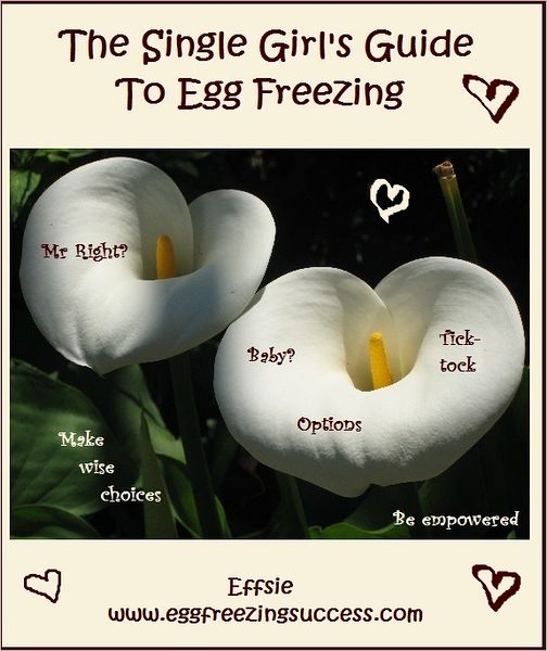 The Single Girl's Guide To Egg Freezing