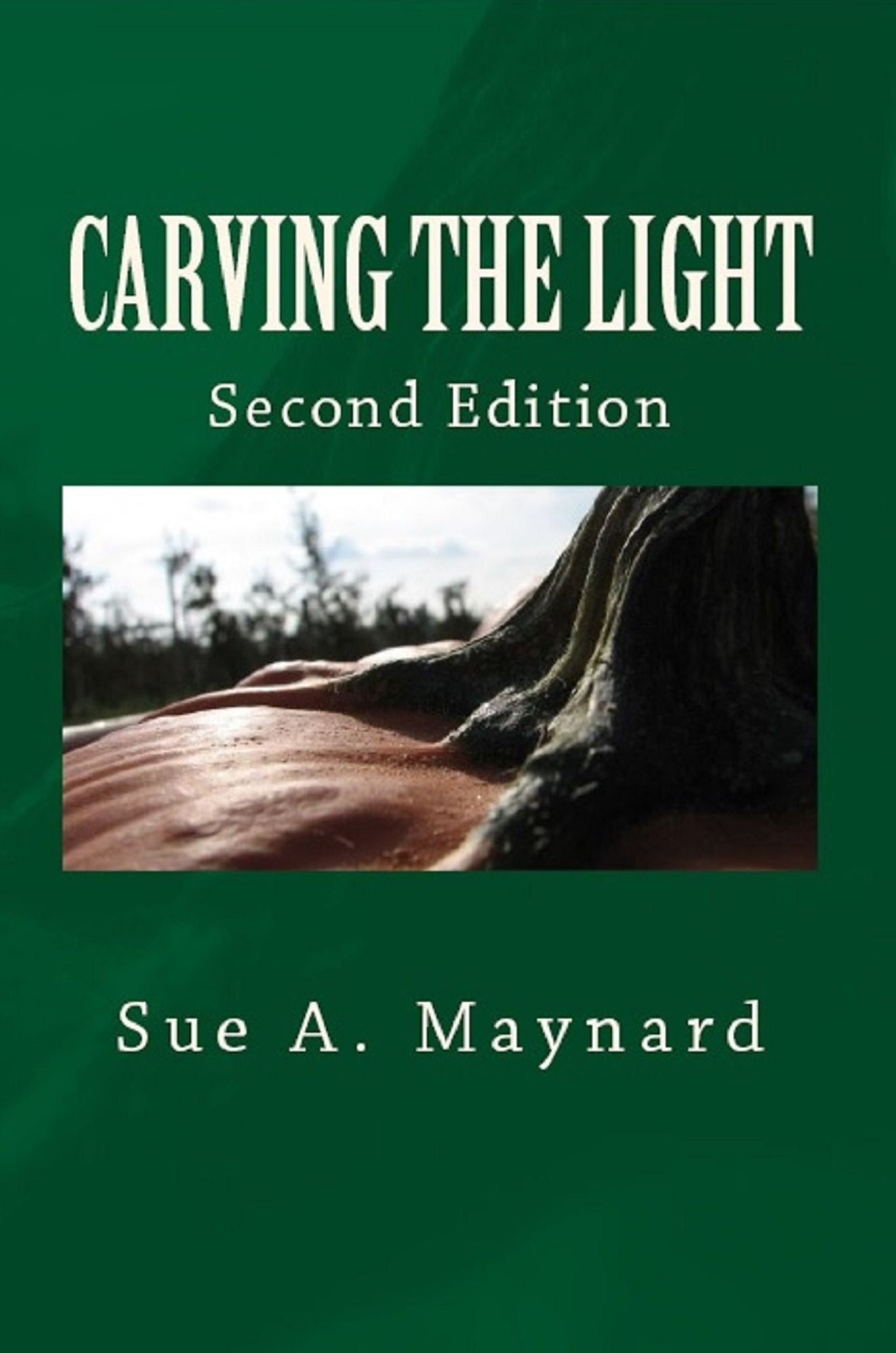 Carving The Light