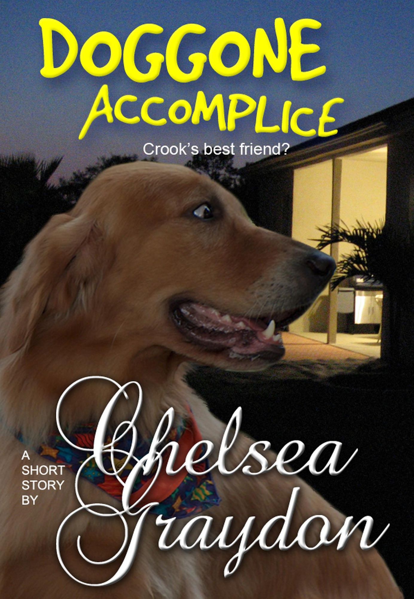 Doggone Accomplice