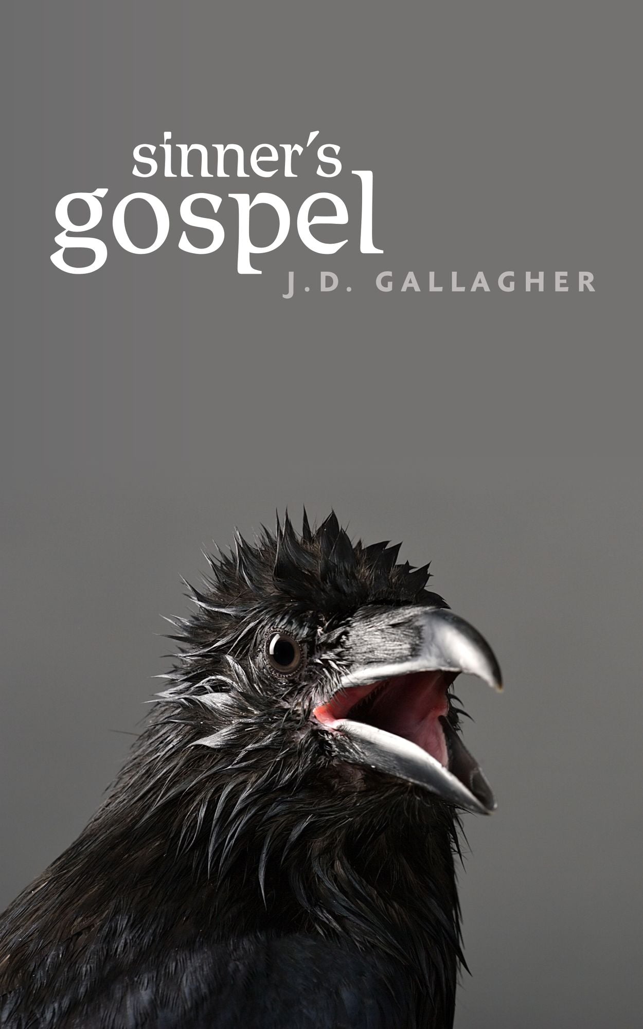 Sinner's Gospel