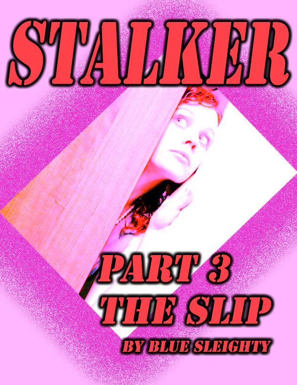 STALKER: Part 3 - The Slip