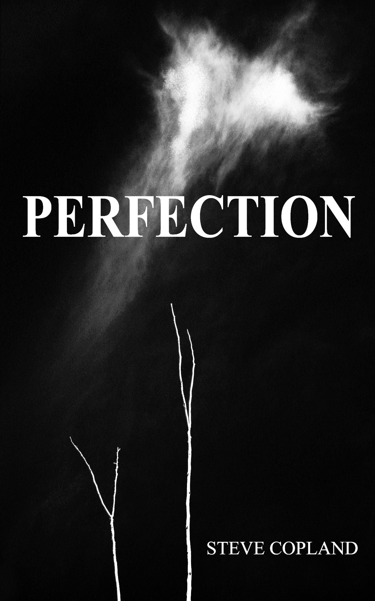 Perfection