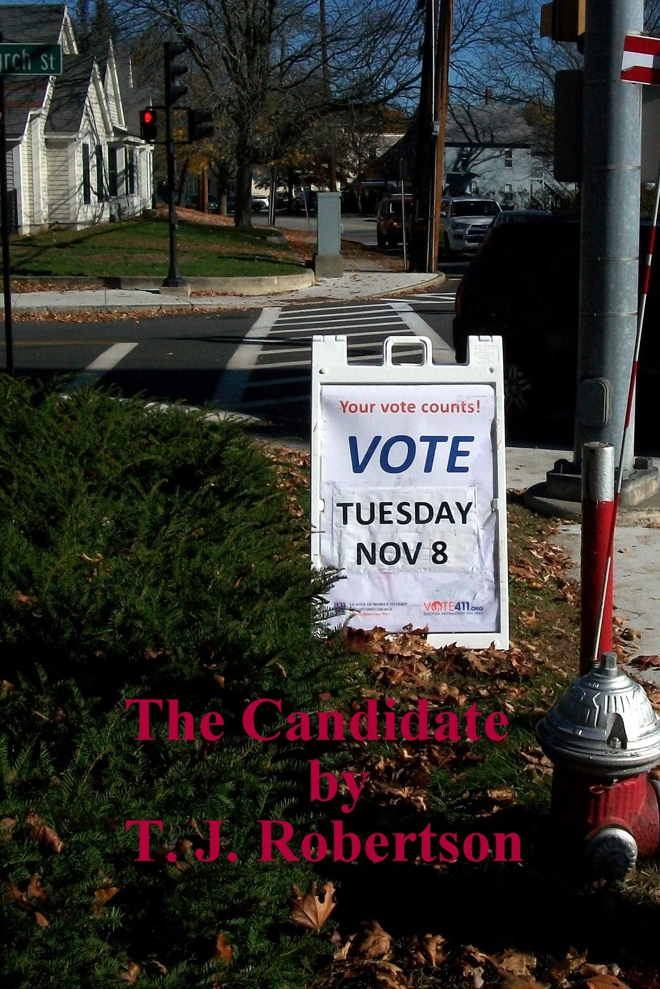 The Candidate