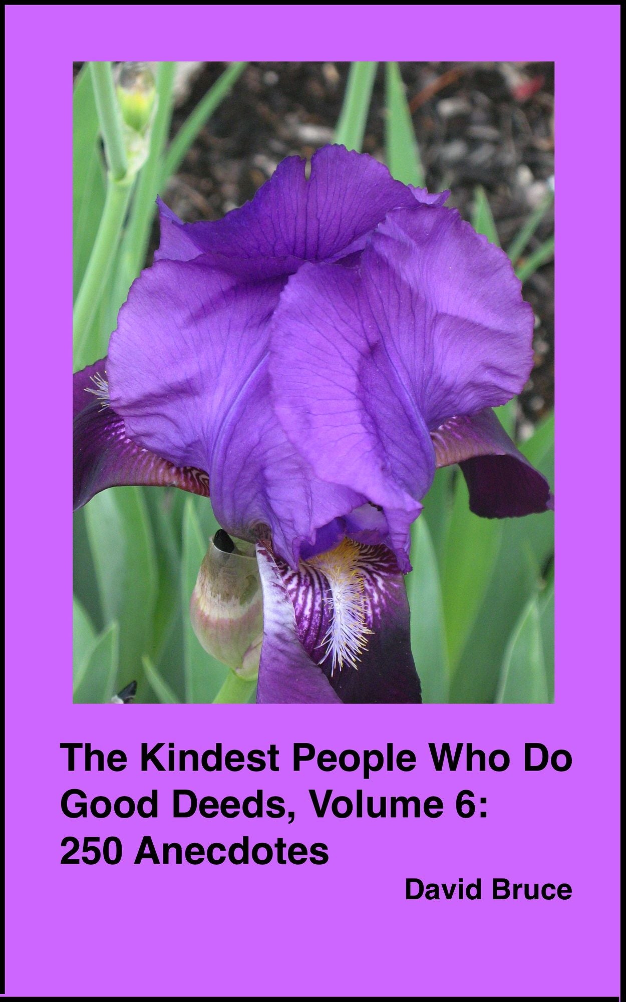 The Kindest People Who Do Good Deeds, Volume 6: 250 Anecdotes