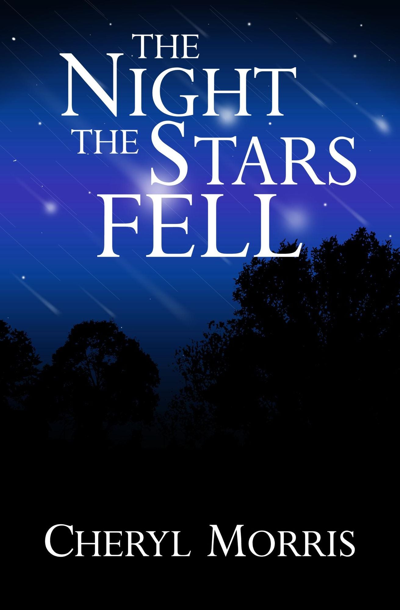 The Night the Stars Fell