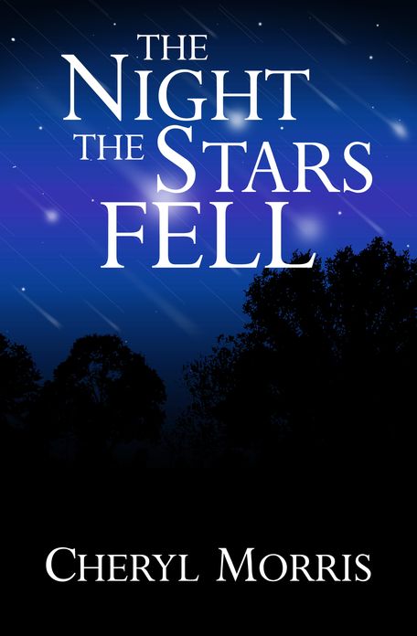 The Night the Stars Fell