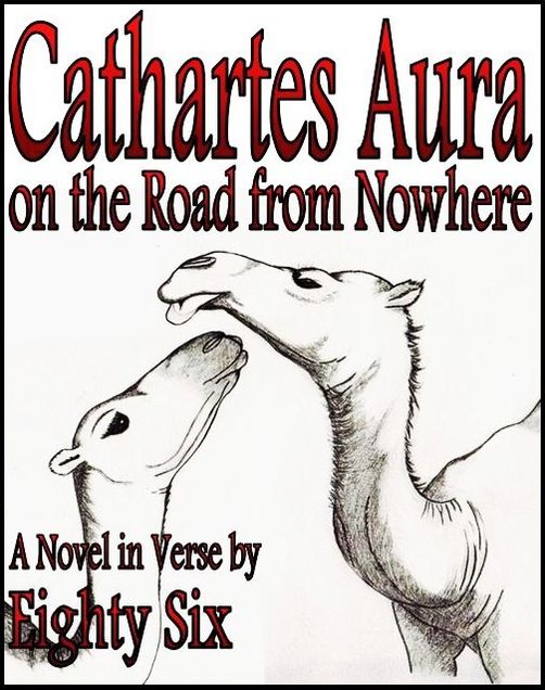 Cathartes Aura on the Road from Nowhere