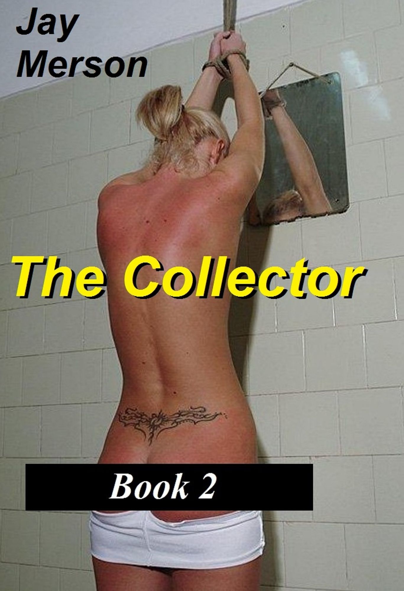 The Collector - Books 2 (Strong BDSM erotica)