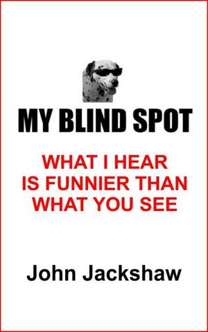 My Blind Spot; What I Hear Is Funnier Than What You See