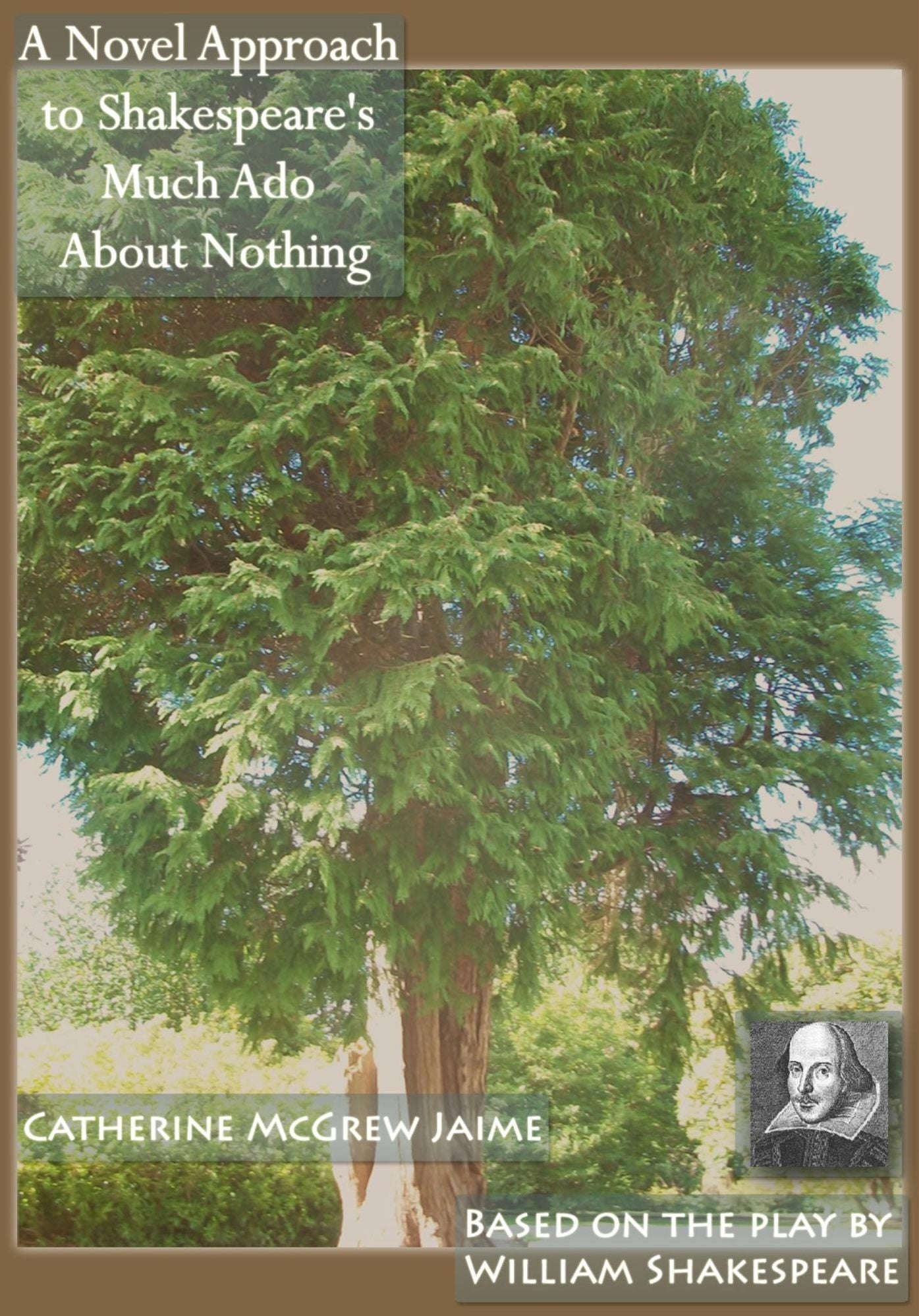 A Novel Approach to Shakespeare's Much Ado About Nothing