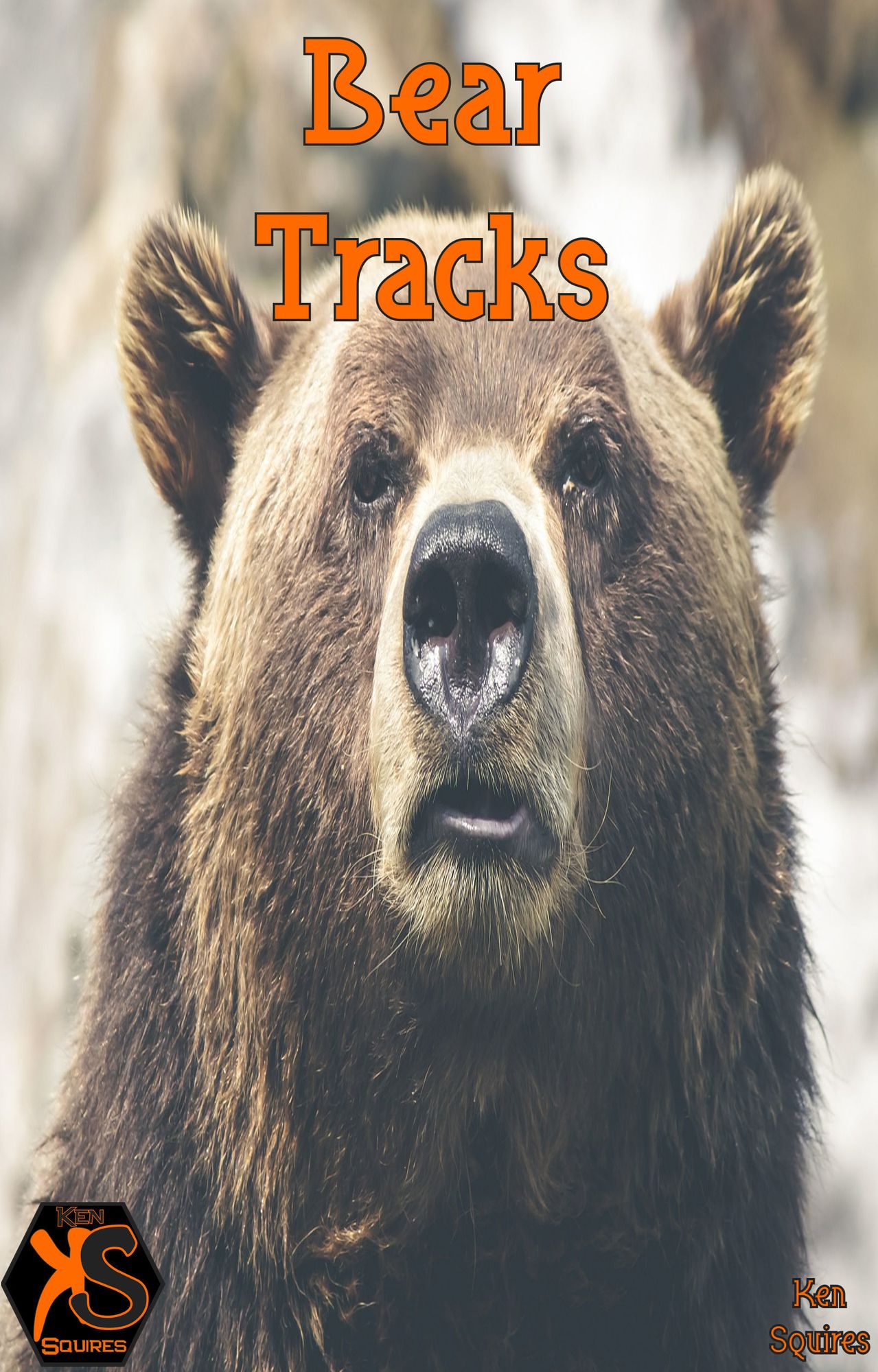 Bear Traxxx