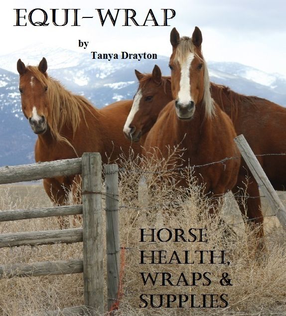 Equi-Wrap: Horse Health, Wraps & Supplies