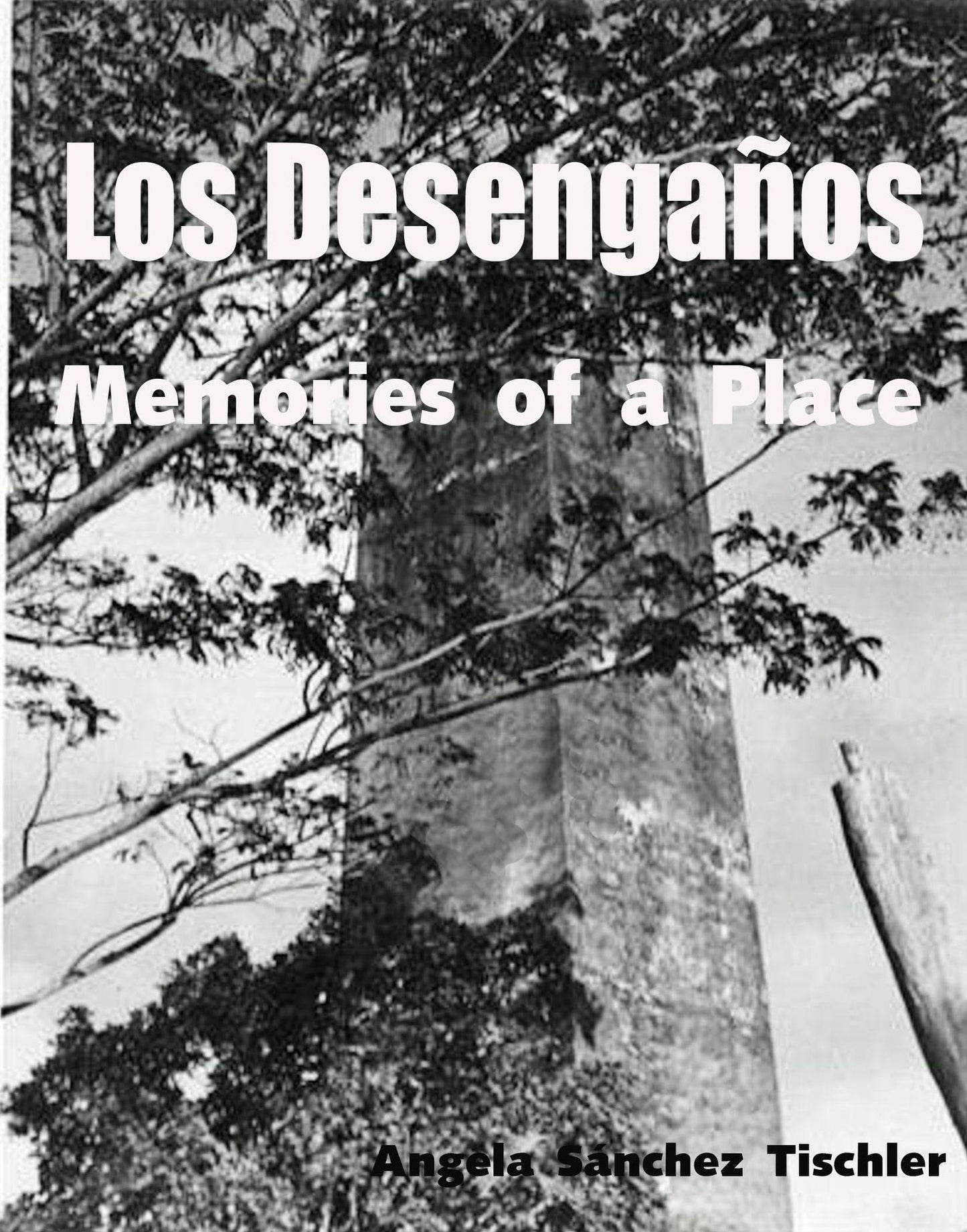 Los Desengaños