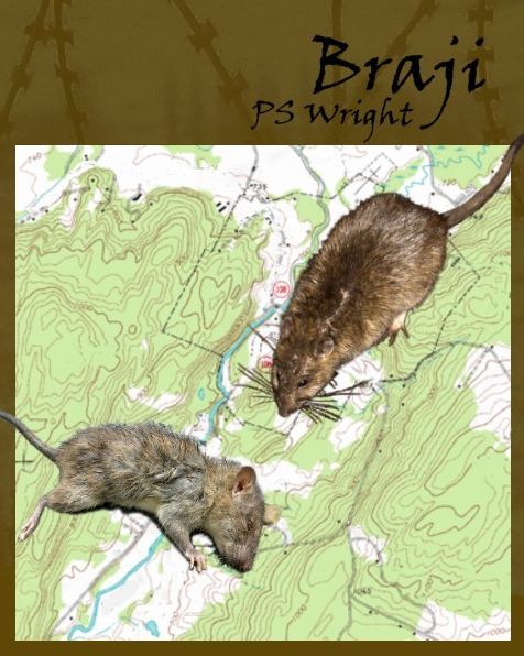 Braji